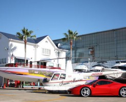 配達完了！東京でスカラブが見られるのはここです。