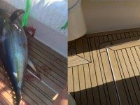 フレキシチークなら血で汚れても大丈夫です！