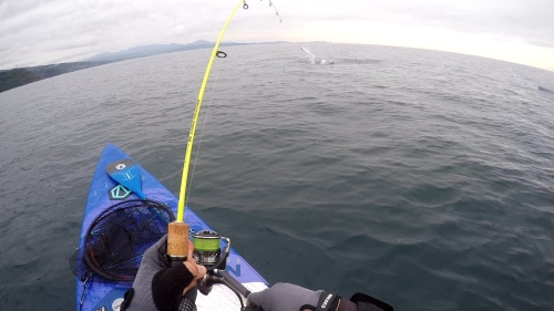 AZTRONボードを1年使用してみての製品レポート