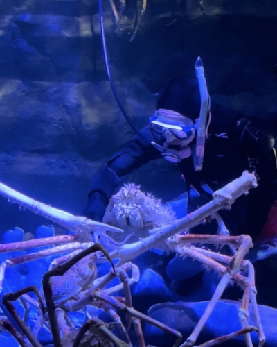 竹島水族館で活躍！J-FISHドライスーツ導入事例