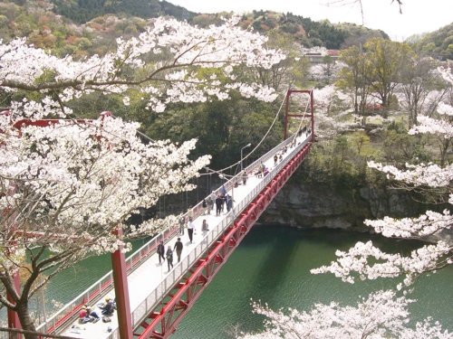 春到来！桜を眺めるお花見SUPおすすめスポット！