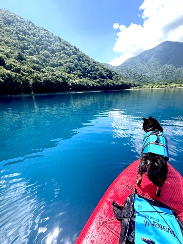 【愛用者の声】愛犬と一緒に水上散歩！SUPが広げるアウトドアライフ