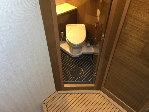 プリンセス49に施工しました。(トイレ編)